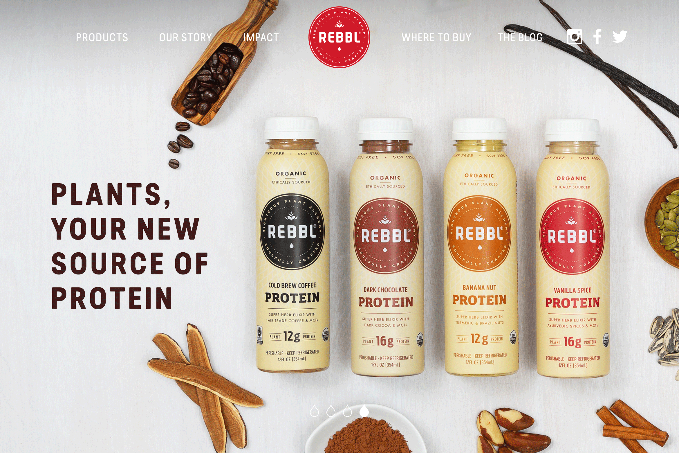 REBBL_ProteinCover_1170x780x2