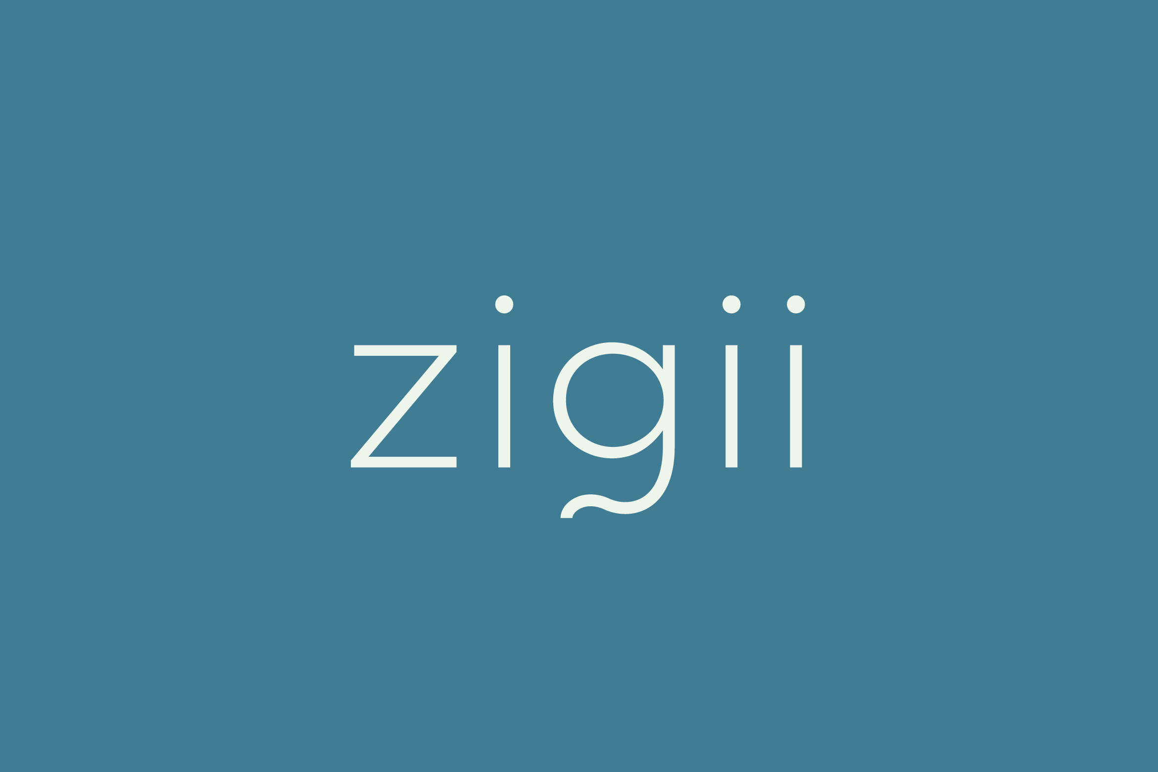 Zigii_Logo_1170x780x2