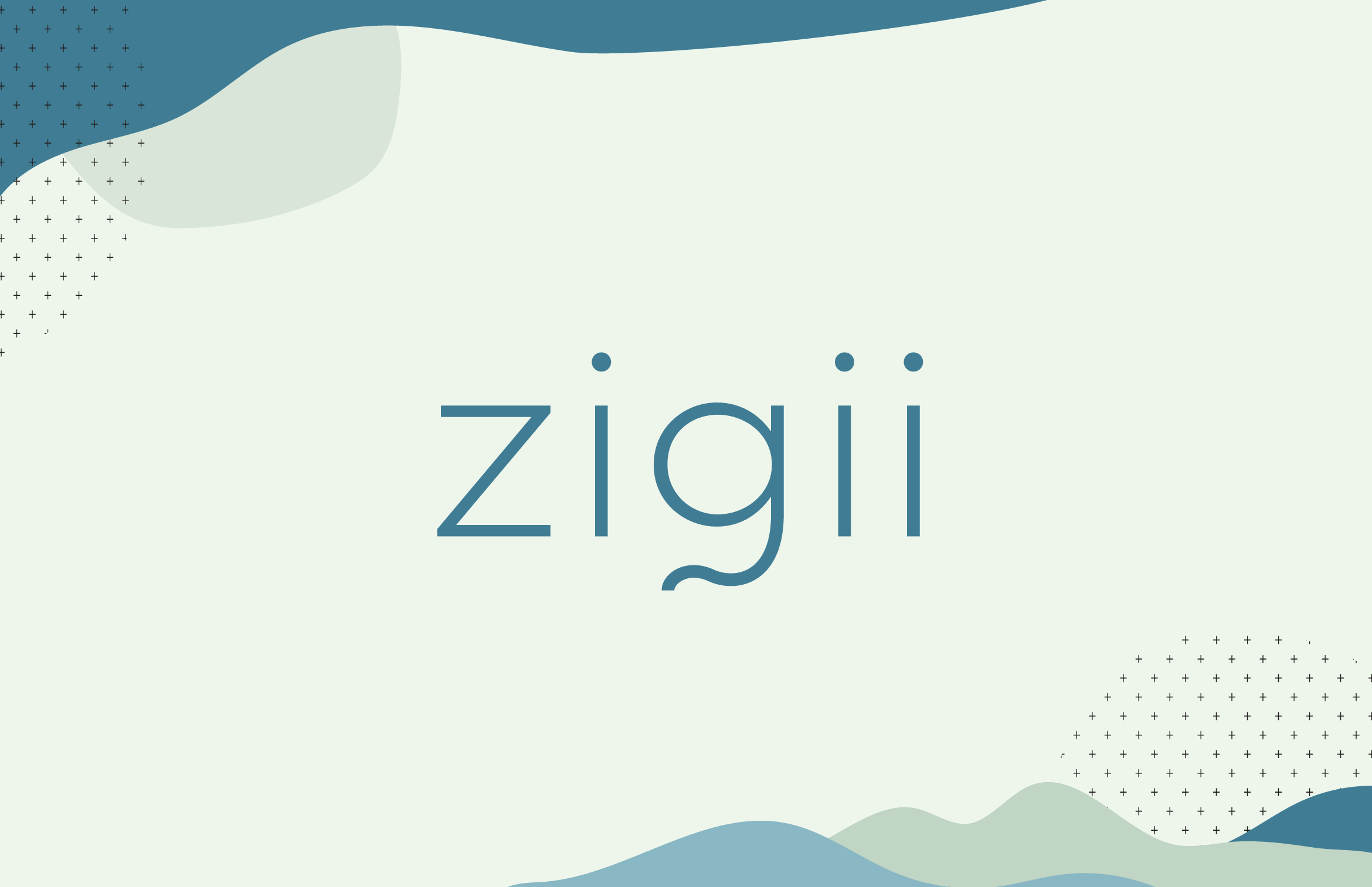 Zigii_VisualGuidelines_01